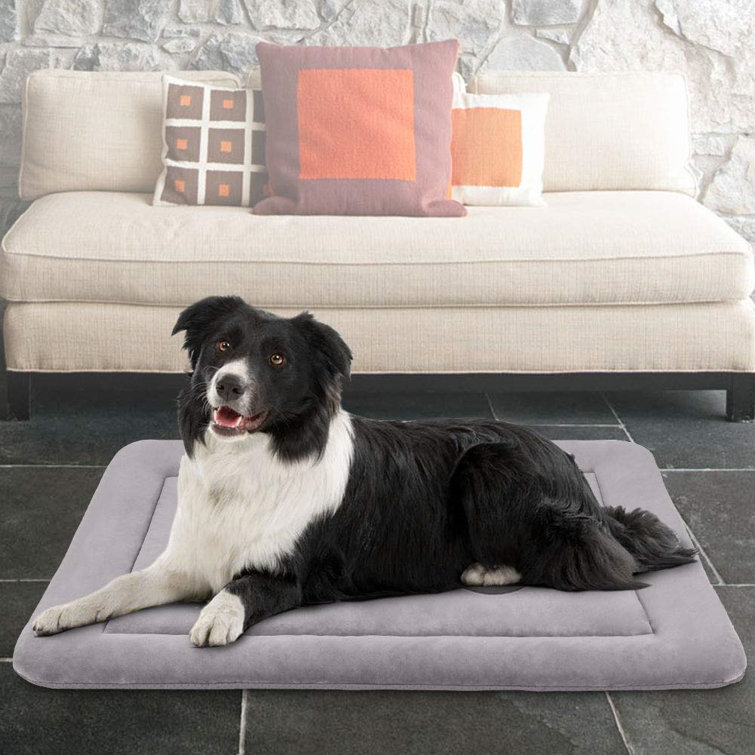 Tucker Murphy Pet™ Washable Soft AntiSlip Dog Mat Wayfair